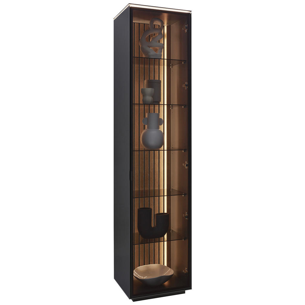 Dieter Knoll VITRÍNA, dub, antracitová, farba duba, 45,8/198,6/40 cm.