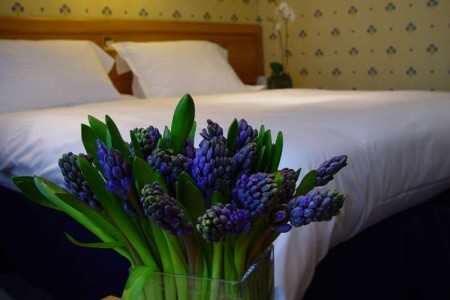 Veľká Británia Londýn Best Western Burns 4 dňový pobyt Raňajky Letecky Letisko: Bratislava November 2025 (30/11/25- 3/12/25)