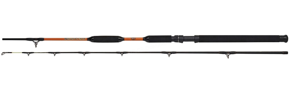 Wft prút never crack bank cat ii 2,7 m 200-1000 g.