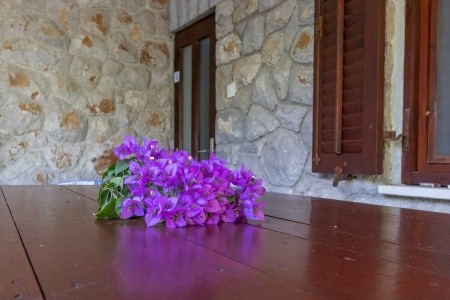 Chorvátsko Lošinj Apartmány 3298-4445 8 dňový pobyt Bez stravy Vlastná September 2026 (23/09/26-30/09/26)