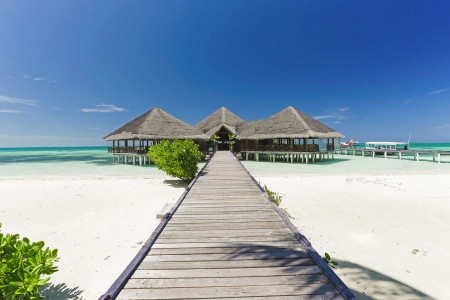 Maldivy Južný Atol Male Medhufushi Island Resort 9 dňový pobyt Polpenzia Letecky Letisko: Viedeň November 2026 (11/11/26-19/11/26)
