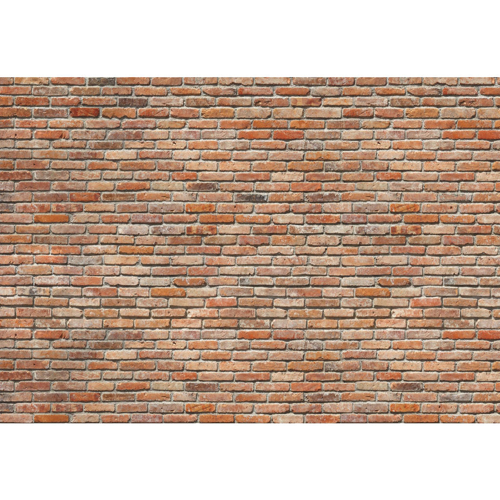 FOTOTAPETA velikost: 368/254 cm.