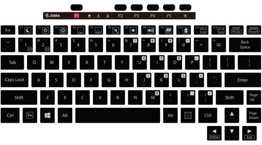 Zebra keyboard, FR.