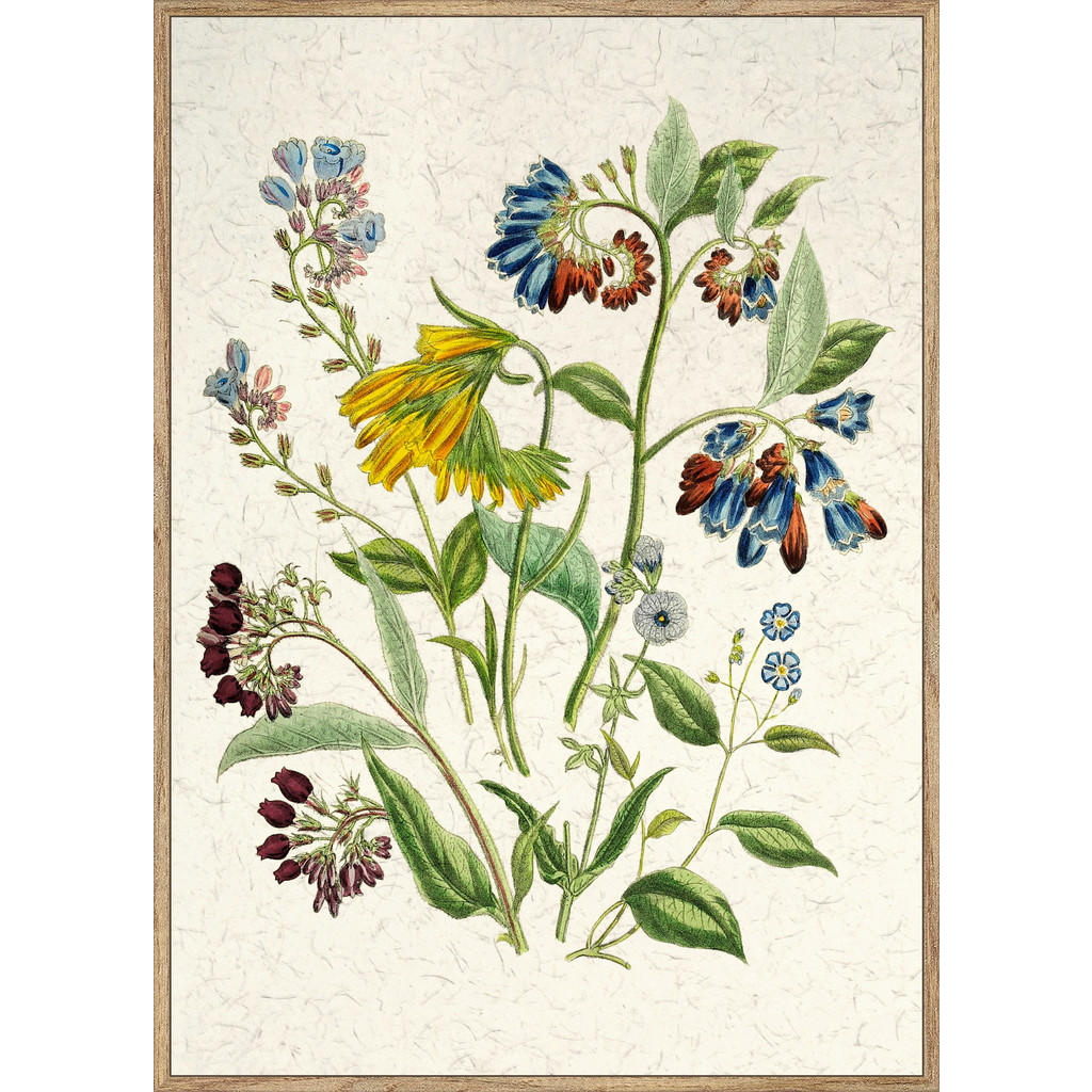 Monee UMELECKÁ TLAČ, kvety, 51,2/71,2 cm.