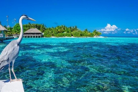 Maldivy Severný Atol Male Eri Maldives (Ex.