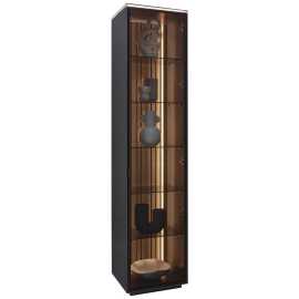 Dieter Knoll VITRÍNA, dub, antracitová, farba duba, 45,8/198,6/40 cm.