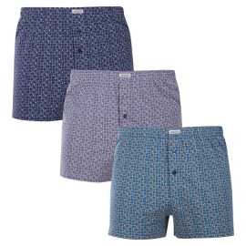 3PACK pánske trenky Andrie viacfarebné (PS 5895) L, trenírky.
Doplnite svoj šatník o pohodlný a štýlový kúsok.
Prémiový materiál pre celodenné pohodlie
Boxerky Andrie sú vyrobené zo 100 % bavlny, ktorá ponúka jemnosť a priedušnosť.
Elegantný dizajn a pohodlný strih
Boxerky majú diskrétne vzory v rôznych farbách, ktoré dodávajú šatníku moderný vzhľad a originalitu.
Prečo si kúpiť boxerky Andrie?

100% bavlna pre jemnosť a pohodlie.


Klasický voľný strih pre maximálny komfort.


Diskrétny dizajn, ktorý sa hodí na každú príležitosť.

Andrie ponúka české spodné prádlo pre mužov, ktorí vedia, čo chcú
Pánske boxerky Andrie vynikajú príjemnými materiálmi a kvalitným spracovaním.
Ako sa starať o boxerky Andrie
Aby si zachovali kvalitu a pohodlie, postupuj podľa týchto jednoduchých krokov:

Pranie: Per na maximálnej teplote 40 °C s jemnými pracími prostriedkami, aby materiál zostal mäkký a vzory intenzívne.


Sušenie: Boxerky nesušte v sušičke, odporúčame ich nechať voľne uschnúť.


Žehlenie: Pre hladký vzhľad môžete boxerky žehliť na nízkej teplote.

Tip: Staňte sa odborníkom na údržbu spodnej bielizne vďaka tipom v našom článku a doprajte svojim obľúbeným kúskom starostlivosť, ktorú si zaslúžia.