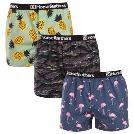 3PACK pánske trenky Horsefeathers Frazier Bundle 9 (AM096L) M, trenírky.
Ukážte svoj štýl a zmysel pre humor s pánskymi šortkami Horsefeathers.
Kvalitný materiál pre dokonalé pohodlie
Šortky Horsefeathers sú vyrobené zo 100 % bavlny, čo znamená, že vám ponúknu príjemný pocit na pokožke.
Originálny dizajn a pohodlné nosenie
Každý pár šortiek je vybavený jedinečnou potlačou, ktorá dodá vášmu šatníku štýl a moderný nádych.
Prečo si tieto šortky zamilujete?

Originálne potlače, ktoré dodajú zábavu každému dňu.


Pohodlný materiál a voľný strih pre celodenné pohodlie.


Kvalitné spracovanie od značky Horsefeathers, ktorá je synonymom štýlu a spoľahlivosti.

Pánske šortky Horsefeathers majú štýl
Slovo „horsefeathers“ znamená v angličtine „úplný nezmysel“, ale spodná bielizeň od rovnomennej značky vás presvedčí, že pri jej kúpe žiadny nezmysel nehrozí.
Ako sa starať o svoje nové šortky
Aby ste sa uistili, že vaše šortky zostanú čo najdlhšie v skvelej forme, dodržiavajte tieto pokyny:

Pranie: Perte pri maximálnej teplote 30°C s jemnými pracími prostriedkami.


Sušenie: Sušenie v bubnovej sušičke neodporúčame, aby sa materiál nezrazil alebo nepoškodil potlač.


Žehlenie: Šortky môžete žehliť pri nízkej teplote.

Tip: Staňte sa expertom na údržbu spodnej bielizne vďaka radám v našom článku a doprajte svojim obľúbeným kúskom starostlivosť, akú si zaslúžia.