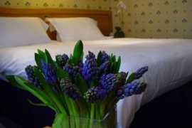 Veľká Británia Londýn Best Western Burns 4 dňový pobyt Raňajky Letecky Letisko: Bratislava November 2025 (30/11/25- 3/12/25)