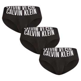 3PACK Herren Slips Calvin Klein schwarz (NB3610A-UB1) M.