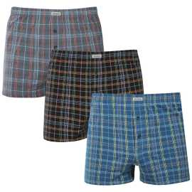 3PACK Herren Boxershorts Andrie mehrfarbig (PS 5862) XXL.
Ergänzen Sie Ihre Garderobe um ein bequemes und stilvolles Stück.
Hochwertiges Material für ganztägigen Komfort
Die Andrie-Shorts sind aus 100 % Baumwolle gefertigt, die weich und atmungsaktiv ist.
Elegantes Design und bequeme Passform
Die Shorts haben subtile Muster in verschiedenen Farben, die Ihrer Garderobe einen modernen und originellen Look verleihen.
Warum eine Andrie-Shorts?

Das Material aus 100% Baumwolle sorgt für Weichheit und Komfort.


Klassische , lockere Passform für maximalen Komfort.


Dezentes Design, das für jede Gelegenheit geeignet ist.

Andrie bietet tschechische Unterwäsche für Männer, die wissen, was sie wollen
Die Herren-Shorts Andrie zeichnen sich durch ihre angenehmen Materialien und die Qualität der Verarbeitung aus.
Pflege von Andrie's Shorts
Befolgen Sie diese einfachen Schritte, um die Qualität und den Komfort Ihrer Shorts zu erhalten:

Wäscherei: Waschen Sie es bei maximal 40 °C mit Feinwaschmitteln, damit das Material weich und die Muster intensiv bleiben.


Trocknen: Trocknen Sie die Shorts nicht im Trockner, wir empfehlen, sie an der Luft trocknen zu lassen.


Bügeln: Für ein glattes Aussehen können Sie die Shorts bei niedriger Temperatur bügeln.

Tip: Werden Sie mit den Tipps in unserem Artikel zum Experten für die Pflege von Dessous und geben Sie Ihren Lieblingsstücken die Pflege, die sie verdienen.