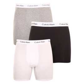 3PACK pánske boxerky Calvin Klein viacfarebné (NB1770A-MP1) XL, trenky.
Hľadáte kvalitné boxerky s dlhou nohavičkou?