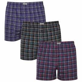 3PACK pánske trenky Andrie viacfarebné (PS 5920) 4XL, trenírky.
Doplnite svoj šatník o pohodlný a štýlový kúsok.
Prémiový materiál pre celodenné pohodlie
Boxerky Andrie sú vyrobené zo 100 % bavlny, ktorá ponúka jemnosť a priedušnosť.
Elegantný dizajn a pohodlný strih
Boxerky majú diskrétne vzory v rôznych farbách, ktoré dodávajú šatníku moderný vzhľad a originalitu.
Prečo si kúpiť boxerky Andrie?

100% bavlna pre jemnosť a pohodlie.


Klasický voľný strih pre maximálny komfort.


Diskrétny dizajn, ktorý sa hodí na každú príležitosť.

Andrie ponúka české spodné prádlo pre mužov, ktorí vedia, čo chcú
Pánske boxerky Andrie vynikajú príjemnými materiálmi a kvalitným spracovaním.
Ako sa starať o boxerky Andrie
Aby si zachovali kvalitu a pohodlie, postupuj podľa týchto jednoduchých krokov:

Pranie: Per na maximálnej teplote 40 °C s jemnými pracími prostriedkami, aby materiál zostal mäkký a vzory intenzívne.


Sušenie: Boxerky nesušte v sušičke, odporúčame ich nechať voľne uschnúť.


Žehlenie: Pre hladký vzhľad môžete boxerky žehliť na nízkej teplote.

Tip: Staňte sa odborníkom na údržbu spodnej bielizne vďaka tipom v našom článku a doprajte svojim obľúbeným kúskom starostlivosť, ktorú si zaslúžia.