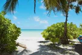 Maldivy  Nazaki Residences (Gan) 11 dňový pobyt Plná penzia Letecky Letisko: Praha February 2026 (14/02/26-24/02/26)