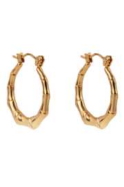 Emily Westwood Pozlátené kruhové náušnice Grace Cascade EWE250198G.