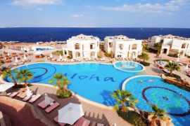 Egypt Sharm El Sheikh Amphoras Blu (Ex.