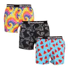 3PACK pánske trenky Horsefeathers Frazier viacfarebné (AM166BD34U) M, trenírky.
Ukážte svoj štýl a zmysel pre humor s pánskymi šortkami Horsefeathers.
Kvalitný materiál pre dokonalé pohodlie
Šortky Horsefeathers sú vyrobené zo 100 % bavlny, čo znamená, že vám ponúknu príjemný pocit na pokožke.
Originálny dizajn a pohodlné nosenie
Každý pár šortiek je vybavený jedinečnou potlačou, ktorá dodá vášmu šatníku štýl a moderný nádych.
Prečo si tieto šortky zamilujete?

Originálne potlače, ktoré dodajú zábavu každému dňu.


Pohodlný materiál a voľný strih pre celodenné pohodlie.


Kvalitné spracovanie od značky Horsefeathers, ktorá je synonymom štýlu a spoľahlivosti.

Pánske šortky Horsefeathers majú štýl
Slovo „horsefeathers“ znamená v angličtine „úplný nezmysel“, ale spodná bielizeň od rovnomennej značky vás presvedčí, že pri jej kúpe žiadny nezmysel nehrozí.
Ako sa starať o svoje nové šortky
Aby ste sa uistili, že vaše šortky zostanú čo najdlhšie v skvelej forme, dodržiavajte tieto pokyny:

Pranie: Perte pri maximálnej teplote 30°C s jemnými pracími prostriedkami.


Sušenie: Sušenie v bubnovej sušičke neodporúčame, aby sa materiál nezrazil alebo nepoškodil potlač.


Žehlenie: Šortky môžete žehliť pri nízkej teplote.

Tip: Staňte sa expertom na údržbu spodnej bielizne vďaka radám v našom článku a doprajte svojim obľúbeným kúskom starostlivosť, akú si zaslúžia.