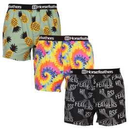 3PACK moške široke boksarice Horsefeathers frazier (AM166BCD) L.
Pokažite svoj slog in smisel za humor z moškimi kratkimi hlačami Horsefeathers.
Kakovosten material za popolno udobje
Kratke hlače Horsefeathers so izdelane iz 100-odstotnega bombaža, kar pomeni, da se bodo prijetno prilegale vaši koži.
Izvirna zasnova in udobno prileganje
Vsak par kratkih hlač ima edinstven potisk, ki bo vaši garderobi dodal slog in sodoben pridih.
Zakaj so vam všeč te kratke hlače?

Izvirni potiski, ki vsak dan naredijo zabaven.


Udoben material in ohlapen kroj za celodnevno udobje.


Kakovostna izdelava znamke Horsefeathers, ki je sinonim za slog in zanesljivost.

Moške kratke hlače Horsefeathers imajo slog
Beseda 