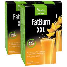 FatBurn XXL - Nápoj na spaľovanie tukov s 1000 mg L-karnitínu 1+2 ZDARMA.