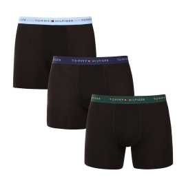 3PACK pánske boxerky Tommy Hilfiger čierné (UM0UM02765 0TQ) XL, trenky. Klasika, ktorá nesklame – pánske boxerky Tommy Hilfiger
Doprajte si nadčasový štýl a špičkový komfort s pánskymi boxerkami od značky Tommy Hilfiger. Vďaka prémiovému spracovaniu a ikonickému dizajnu sú tieto boxerky ideálnou voľbou pre mužov, ktorí chcú vyzerať skvele a zároveň sa cítiť pohodlne po celý deň. Perfektná kombinácia elegancie, funkčnosti a kvality, ktorá obstojí v každej situácii.
Prémiový materiál pre maximálne pohodlie
Boxerky Tommy Hilfiger sú vyrobené z jemnej, na dotyk veľmi príjemnej bavlny s prímesou umelého vlákna, ktorý im dodáva pružnosť a dlhú životnosť. Materiál je priedušný, dobre odvádza vlhkosť a prispôsobí sa tvojmu telu – ideálny ako na pokojný deň v kancelárii, tak aj na aktívne popoludnie, pretože elastický materiál ti umožní úplnú voľnosť pohybu.
Ikonyický štýl a precízny strih
Boxerky majú dlhšie nohavičky, ktoré sa nevyhrávajú a poskytujú dostatočné zakrytie a komfort. Vytkávaná guma s logom Tommy Hilfiger dodáva boxerkám elegantne športový vzhľad a zároveň drží pevne na mieste bez nepríjemného zařezávania. Strih je navrhnutý tak, aby sedel väčšine typov postáv a zdôraznil siluetu bez obmedzenia pohybu. Boxerky sú pohodlné do práce aj na domáce leňošenie, nesklamú vás pod oblekovými nohavicami ani pod letnými šortkami.
Prečo by vám boxerky Tommy Hilfiger nemali chýbať

Prémiová bavlna s elastanom: Mäkká, priedušná a pohodlná na celodenné nosenie.
Dlhšie nohavičky a vyšívaný guma: Stabilita, štýl a žiadne rolovanie.
Elegantný a nadčasový dizajn: Skvelé na každodenné aj špeciálne príležitosti.

Spodná bielizeň Tommy Hilfiger je zárukou najvyššej kvality
Značka Tommy Hilfiger sa stala ikonou amerického obliekania pred takmer 40 rokmi a jej farebnosť v odtieňoch modrej, červenej a bielej je rozpoznateľná na prvý pohľad. Všetky výrobky tejto značky spája prvotriedne spracovanie a nenápadný luxus, ktorý si môžeš dopriať každý deň. Pánske boxerky Tommy Hilfiger nájdete v šatníku štýlových mužov po celom svete, ktorí oceňujú predovšetkým ich nadčasový dizajn a materiály, ktoré vás doslova pohladia. Ocení to nielen vaše intímne partie, ktoré sa budú cítiť ako v bavlnke, ale aj vaša partnerka, ktorá sa vás bude ešte radšej dotýkať.
Ako sa starať o boxerky Tommy Hilfiger

Pranie: Per na 30 °C. Používej jemný prací prostriedok bez bielidiel, aby materiál aj farby zostali ako nové čo najdlhšie.
Sušenie: Boxerky možno sušiť v sušičke pri nízkej teplote. Odporúčame šetrný cyklus, aby si zachovali svoj tvar a pružnosť.
Žehlenie: V prípade potreby je možné ich žehliť na nižšiu teplotu. Ideálne naruby, aby nedošlo k poškodeniu gumy alebo vyblednutiu potlače.

Tip: Nájdenie ideálneho kúsku spodnej bielizne môže byť niekedy náročné. Keď už ho nájdete, starajte sa oň, aby vám vydržal čo najdlhšie. Pomôžu vám v tom vybrané pracie prostriedky a aviváže, ktoré ošetria vlákna a príjemne voňajú.