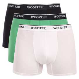 3PACK pánske boxerky Wooster viacfarebné (W-603) L, trenky. Pánske boxerky Wooster ti prinesú pohodlie a štýl každý deň
Pánske boxerky Wooster sú ideálnou voľbou pre mužov, ktorí hľadajú pohodlnú spodnú bielizeň na každý deň.Vďaka bavlnenému materiálu s prímesou elastanu sú priedušné, príjemné na tele a vhodné aj na celodenné nosenie.Klasický boxerkový strih s dlhšou nohavičkou zabezpečí voľnosť pohybu a extra krytie.
Kvalitný materiál pre celodenný komfort
Hlavný materiál je bavlna s prímesou elastanu.Bavlna odvádza vlhkosť od pokožky a udržuje ťa v suchu po celý deň — oceníš to najmä pri dlhšom nosení v práci alebo na cestách.Elastan zase zabezpečuje, že boxerky sedia presne na postave a nepodvliekajú sa ani pri pohybe.
Klasický strih pre maximálne pohodlie
Boxerky majú klasický boxerkový strih s dlhšou nohavičkou, ktorá poskytuje extra krytie a podporu — oceníš to nielen pri aktívnom pohybe, ale aj pri dlhšom sedení v kancelárii.Vytkávaná guma v páse drží boxerky pevne na mieste bez zarezávania alebo nepríjemného tlaku, a to aj pri celodennom nosení.
Prečo by si mal boxerky Wooster vyskúšať

Pohodlný strih pre každý deň: Dlhšie nohavičky a vytkávaná guma v páse poskytujú podporu a pohodlie — boxerky sú vhodné pre bežné nosenie, šport aj voľnočasové aktivity.
Kombinácia štýlu a funkčnosti: Výrazné potlače dodávajú boxerkám osobitý štýl, ktorý oživí každý šatník.
Kvalitná zmes materiálov: Vďaka prímesi elastanu sa boxerky ľahko prispôsobia postave a zostávajú pohodlné po celý deň.

Značka Wooster
Spodnú bielizeň Wooster si obľúbia všetci, ktorí od svojej bielizne vyžadujú nielen kvalitu a pohodlný strih, ale aj neotrelý dizajn.Osobité boxerky oživia tvoj šatník a zdvihnú ti náladu, kedykoľvek si ich oblečieš.
Ako sa starať o svoje nové boxerky?
Aby ti tieto boxerky vydržali čo najdlhšie a zachovali si svoj pôvodný vzhľad a pružnosť, odporúčame držať sa nasledujúcich pokynov:

Pranie:Per v práčke na max.40 °C s jemným pracím prostriedkom, ideálne po rubovej strane pre zachovanie kvality materiálu a potlače.
Sušenie:Neodporúča sa sušenie v sušičke, aby nedošlo k poškodeniu elastanu alebo zmršteniu tkaniny — najlepšie je nechať boxerky voľne uschnúť na vzduchu.
Žehlenie:Ak je treba, žehlite na nízku teplotu vhodnú pre bavlnu — predĺžiš tým životnosť gumy aj látky.

Tip:Nájsť ten pravý kúsok spodnej bielizne, ktorý ti dokonale sadne, je niekedy náročné.Keď už ho nájdeš, stojí za to sa oň dobre starať, aby ti dlho vydržal.Rady, ako na to, nájdeš v našom článku.
