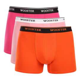 3PACK pánske boxerky Wooster viacfarebné (W-600) XL, trenky. Pánske boxerky Wooster ti prinesú pohodlie a štýl každý deň
Pánske boxerky Wooster sú ideálnou voľbou pre mužov, ktorí hľadajú pohodlnú spodnú bielizeň na každý deň.Vďaka bavlnenému materiálu s prímesou elastanu sú priedušné, príjemné na tele a vhodné aj na celodenné nosenie.Klasický boxerkový strih s dlhšou nohavičkou zabezpečí voľnosť pohybu a extra krytie.
Kvalitný materiál pre celodenný komfort
Hlavný materiál je bavlna s prímesou elastanu.Bavlna odvádza vlhkosť od pokožky a udržuje ťa v suchu po celý deň — oceníš to najmä pri dlhšom nosení v práci alebo na cestách.Elastan zase zabezpečuje, že boxerky sedia presne na postave a nepodvliekajú sa ani pri pohybe.
Klasický strih pre maximálne pohodlie
Boxerky majú klasický boxerkový strih s dlhšou nohavičkou, ktorá poskytuje extra krytie a podporu — oceníš to nielen pri aktívnom pohybe, ale aj pri dlhšom sedení v kancelárii.Vytkávaná guma v páse drží boxerky pevne na mieste bez zarezávania alebo nepríjemného tlaku, a to aj pri celodennom nosení.
Prečo by si mal boxerky Wooster vyskúšať

Pohodlný strih pre každý deň: Dlhšie nohavičky a vytkávaná guma v páse poskytujú podporu a pohodlie — boxerky sú vhodné pre bežné nosenie, šport aj voľnočasové aktivity.
Kombinácia štýlu a funkčnosti: Výrazné potlače dodávajú boxerkám osobitý štýl, ktorý oživí každý šatník.
Kvalitná zmes materiálov: Vďaka prímesi elastanu sa boxerky ľahko prispôsobia postave a zostávajú pohodlné po celý deň.

Značka Wooster
Spodnú bielizeň Wooster si obľúbia všetci, ktorí od svojej bielizne vyžadujú nielen kvalitu a pohodlný strih, ale aj neotrelý dizajn.Osobité boxerky oživia tvoj šatník a zdvihnú ti náladu, kedykoľvek si ich oblečieš.
Ako sa starať o svoje nové boxerky?
Aby ti tieto boxerky vydržali čo najdlhšie a zachovali si svoj pôvodný vzhľad a pružnosť, odporúčame držať sa nasledujúcich pokynov:

Pranie:Per v práčke na max.40 °C s jemným pracím prostriedkom, ideálne po rubovej strane pre zachovanie kvality materiálu a potlače.
Sušenie:Neodporúča sa sušenie v sušičke, aby nedošlo k poškodeniu elastanu alebo zmršteniu tkaniny — najlepšie je nechať boxerky voľne uschnúť na vzduchu.
Žehlenie:Ak je treba, žehlite na nízku teplotu vhodnú pre bavlnu — predĺžiš tým životnosť gumy aj látky.

Tip:Nájsť ten pravý kúsok spodnej bielizne, ktorý ti dokonale sadne, je niekedy náročné.Keď už ho nájdeš, stojí za to sa oň dobre starať, aby ti dlho vydržal.Rady, ako na to, nájdeš v našom článku.