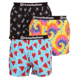 3PACK moške široke boksarice Horsefeathers frazier bundle 3 (AM096E) L.
Pokažite svoj slog in smisel za humor z moškimi kratkimi hlačami Horsefeathers.
Kakovosten material za popolno udobje
Kratke hlače Horsefeathers so izdelane iz 100-odstotnega bombaža, kar pomeni, da se bodo prijetno prilegale vaši koži.
Izvirna zasnova in udobno prileganje
Vsak par kratkih hlač ima edinstven potisk, ki bo vaši garderobi dodal slog in sodoben pridih.
Zakaj so vam všeč te kratke hlače?

Izvirni potiski, ki vsak dan naredijo zabaven.


Udoben material in ohlapen kroj za celodnevno udobje.


Kakovostna izdelava znamke Horsefeathers, ki je sinonim za slog in zanesljivost.

Moške kratke hlače Horsefeathers imajo slog
Beseda 