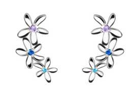 Preciosa Kytičkové pozdĺžne strieborné náušnice Fresh 5345 70.