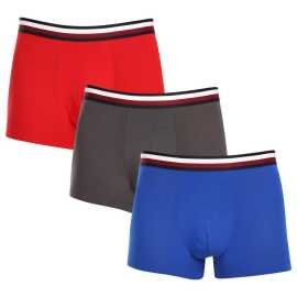 3PACK pánske boxerky Tommy Hilfiger viacfarebné (UM0UM03035 0UG) M, trenky.
Doprajte si nadčasový štýl a špičkový komfort s pánskymi boxerkami od značky Tommy Hilfiger.
Prémiový materiál pre maximálne pohodlie
Boxerky Tommy Hilfiger sú vyrobené z jemnej, na dotyk veľmi príjemnej bavlny s prímesou elastanu, ktorý im dodáva pružnosť a dlhú životnosť.
Ikonyický štýl a precízny strih
Boxerky majú dlhšie nohavičky, ktoré sa nevyhrávajú a poskytujú dostatočné zakrytie a komfort.
Prečo by vám boxerky Tommy Hilfiger nemali chýbať

Prémiová bavlna s elastanom: Mäkká, priedušná a pohodlná na celodenné nosenie.
Dlhšie nohavičky a vyšívaný guma: Stabilita, štýl a žiadne rolovanie.
Elegantný a nadčasový dizajn: Skvelé na každodenné aj špeciálne príležitosti.

Spodná bielizeň Tommy Hilfiger je zárukou najvyššej kvality
Značka Tommy Hilfiger sa stala ikonou amerického obliekania pred takmer 40 rokmi a jej farebnosť v odtieňoch modrej, červenej a bielej je rozpoznateľná na prvý pohľad.
Ako sa starať o boxerky Tommy Hilfiger

Pranie: Per na 30 °C.
Sušenie: Boxerky možno sušiť v sušičke pri nízkej teplote.
Žehlenie: V prípade potreby je možné ich žehliť na nižšiu teplotu.

Tip: Nájdenie ideálneho kúsku spodnej bielizne môže byť niekedy náročné.
