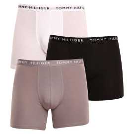 3PACK Boxers para hombre Tommy Hilfiger multicolor (UM0UM02204 0TG) S.