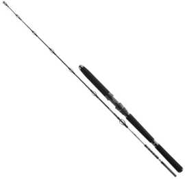 Daiwa prút bg deep sea 1,75 m 30 lbs.
 Prút BG Deep Sea 11928-175 má trochu tuhší blank, a tak sa dokonale hodí na lov vo veľkých hĺbkach s umelými nástrahami a pilkrami – ideálny na tresky a halibuty.
 Do rady BG patria aj prúty na jigging na lov kranasov alebo na hlbinný lov ostrižov.
 Tieto vlastnosti robia z prútov BG spoľahlivého spoločníka pri nekompromisných rybárskych výpravách do oceánov po celom svete.
 Vlastnosti: 
 •Uhlíkový blank HMC+® •Omotávka nití • Delená EVA rukoväť •Očká z oxidu titánu odolné voči slanej vode •Sedlo navijaka DPS-H s bezpečnostnou maticou • Stredne rýchla akcia prútu