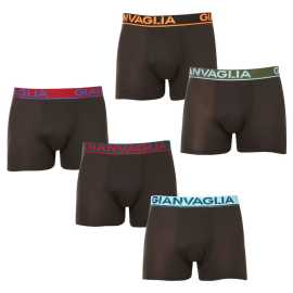 5PACK Boxers para homem Gianvaglia preto (GVG-5010) XL.
Experimente o conforto que vai adorar à primeira vista e ao toque.
Material confortável que se adapta a si
Os boxers Gianvaglia são feitos de algodão com uma mistura de poliamida e elastano.
Design moderno para homens que sabem o que querem
O design simples e minimalista é complementado por uma banda elástica tecida com um logótipo distintivo que confere aos boxers um aspeto contemporâneo.
Porque deve experimentar os boxers Gianvaglia

Corte confortável para todos os dias: As pernas mais compridas e o elástico proporcionam apoio e conforto, tornando as cuecas boxer adequadas para uso casual, desporto e actividades de lazer.


Uma combinação de estilo e funcionalidade: Os pormenores modernos conferem aos boxers um estilo distinto que irá animar qualquer guarda-roupa.


Mistura de materiais de alta qualidade: Graças à adição de elastano e poliamida, as cuecas boxer adaptam-se facilmente ao corpo e permanecem confortáveis durante todo o dia.

A roupa interior Gianvaglia dá um toque de moda ao seu guarda-roupa
A marca italiana de lingerie Gianvaglia tem um toque de selvageria sulista.
Como cuidar dos boxers Gianvaglia
Para garantir que os seus boxers duram muito tempo e se mantêm em perfeitas condições, recomendamos os seguintes cuidados:

Lavandaria: Por cuecas boxer a 30°C, que é a temperatura ideal para manter a elasticidade e a forma do material.


Secagem: Não recomendamos a secagem na máquina de secar roupa para evitar danificar a elasticidade da borracha e do material.


Passar a ferro: Se necessário, passar a ferro a uma temperatura baixa adequada ao algodão.

Sugestão: Torne-se um especialista em manutenção de lingerie com as dicas do nosso artigo e dê às suas peças favoritas o cuidado que elas merecem.