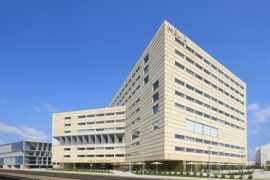 Španielsko Mallorca Melia Palma Bay (Palacio De Congresos) 11 dňový pobyt Raňajky Letecky Letisko: Praha March 2026 ( 5/03/26-15/03/26)