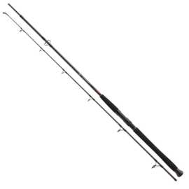 Daiwa prút exceler cf spin 2,70 m -135 g.
 Spoj prútu je vystužený kovovými krúžkami, čo vedie k harmonickej krivke ohybu a odolnému spojeniu oboch častí.
 Tieto prúty umožňujú presné hody za všetkých podmienok.