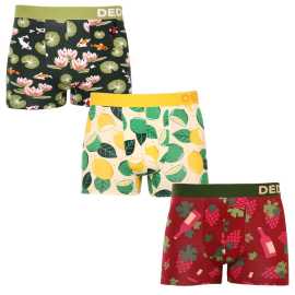 3PACK Vrolijke boxershorts voor heren Dedoles (1325154663) L.