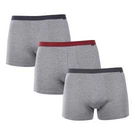 3PACK Boxers pour hommes Andrie gris (PS 5702) L.
Vous êtes à la recherche de sous-vêtements qui vous apporteront un maximum de confort, une qualité de fabrication et qui, en même temps, ne vous décevront pas par leur apparence ?
Matériau de qualité qui se porte bien
Le boxer est fabriqué dans un mélange de coton confortable avec une touche d'élasthanne.
Design moderne et style classique
Le boxer a une coupe confortable avec des jambes plus longues, que vous apprécierez au quotidien et lors de vos longues séances de sport - il n'y a pas de risque de boulochage ou de frottement.
Pourquoi essayer le boxer Andrie

Coupe confortable avec une jambe plus longue : Ils s'adaptent très bien et gardent leur forme toute la journée sans s'entortiller.
Design élégant : Un design ludique mais de bon goût qui vous donnera une touche d'élégance.
Matériau de qualité : Combinaison de coton et d'élasthanne pour un rapport idéal entre douceur et élasticité.

Andrie propose des sous-vêtements tchèques pour les hommes qui savent ce qu'ils veulent
Les shorts pour hommes Andrie se distinguent par leurs matériaux agréables et leur qualité de fabrication.
Comment entretenir le boxer Andrie pour homme ?
Pour que votre boxer reste longtemps en bon état, nous vous recommandons de suivre les instructions d'entretien suivantes.

Blanchisserie : Nous recommandons de laver les boxers à une température maximale de 40 °C.
Séchage : Le séchage par culbutage n'est pas recommandé - les températures élevées peuvent endommager les fibres élastiques et provoquer un rétrécissement.
Repassage : Si nécessaire, vous pouvez repasser les boxers sur une température plus basse, adaptée au coton.

Conseil : Devenez un expert de l'entretien de la lingerie les conseils de notre article et donnez à vos pièces préférées le soin qu'elles méritent.