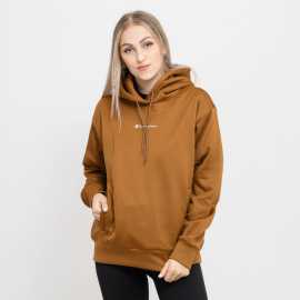 Champion Hooded Sweatshirt XS.