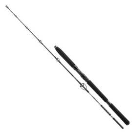 Daiwa prút bg jigger 1,70 m 150-400 g.
 Veľmi robustný blank presne poskytuje všetky potrebné vlastnosti na rýchle uvedenie nástrahy do pohybu a na zdolanie silných rýb.
 Rad BG obsahuje prúty na lov tresiek a halibutov s prírodnými nástrahami, ale zahŕňa aj modely pre povrchový lov Mahi Mahi a GT s nástrahami stickbait a popper.
 Tento rad samozrejme ponúka aj cestovné prúty s krátkymi dielmi pre najbežnejšie spôsoby morského rybolovu, najmä pre lov v Nórsku.
 Tieto vlastnosti robia z prútov BG spoľahlivého spoločníka pri nekompromisných rybárskych výpravách do oceánov po celom svete.
 Vlastnosti: 
 •Uhlíkový blank HMC+® •Omotávka nití • Delená EVA rukoväť •Prémiové očká z oxidu titánu odolné voči slanej vode •Rýchla akcia prútu